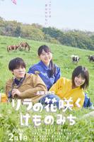 丁香花高清电视剧观看